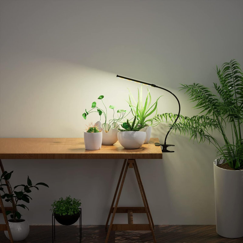 Grow Light LED Gooseneck Lamp