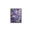 Amethyst Mirage-1187796613