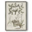 Sepia Botanical Journal VI Framed Print - Solid Wood-383357816