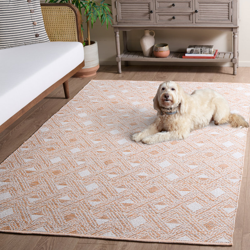 Aila Hand Woven Performance Geometric Rug, Rectangle 5' x 8'
