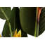 193cm Faux Banana Leaf Plant in Pot