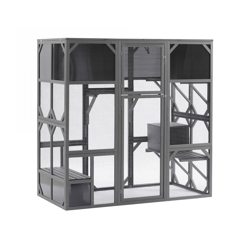 Cat House