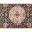 Sona Wool Oriental Area Rug