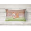  Coussin Squirrel