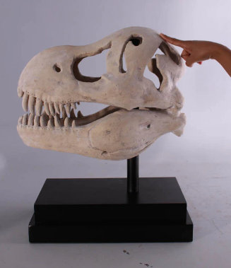 Jahda T-Rex Dinosaur Skull Life Size Statue