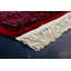 Eilzabeth Oriental Viscose Area Rug-1692860865