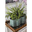 Pot de fleurs en porcelaine toscane-2023883506