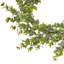 Couronne d'eucalyptus UV 28 po-1773922149