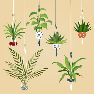 Hanging House Plant by Olga Kurbatova - Wrapped Canvas Print