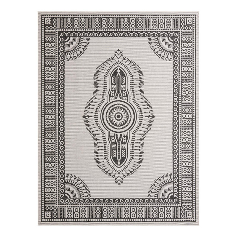 Oriental Indoor / Outdoor Rug, Rectangle 9' x 12'