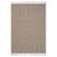 Natural /Traditional Indoor/Outdoor Area Rug