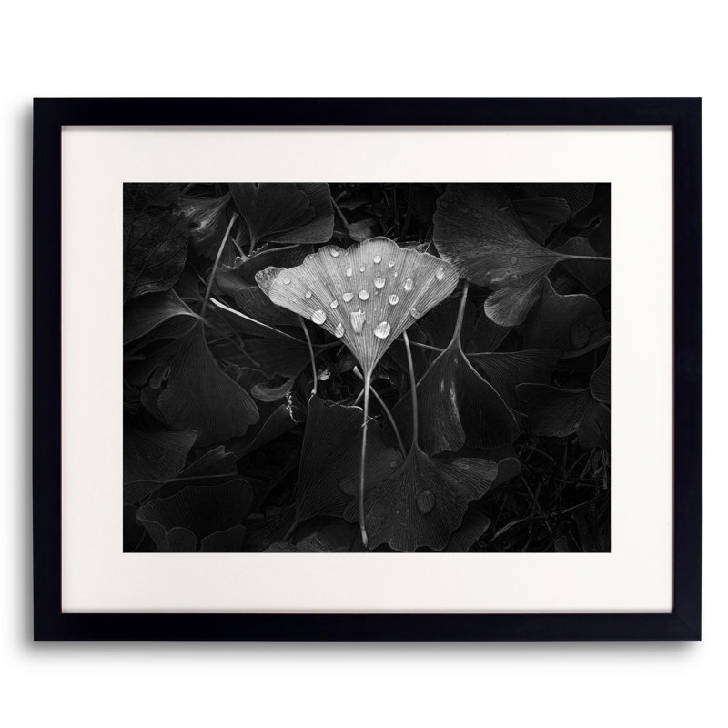 Ginkgo Print by Scott Norris, 16" H x 20" W
