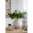 8.5X5.5X6.3" Sand And Cement Nautilus Shell Planter With Textured Beige Finish-22940878