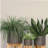 8" PLANTER W/ WOOD STAND, MATTE GRAY-667286983