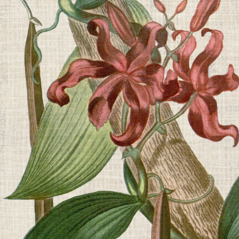 Cropped Turpin Tropicals IX - Wrapped Canvas Print, 30cm H x 30cm W