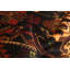 Teimani  Brown Rug 2'9" x 4'9"