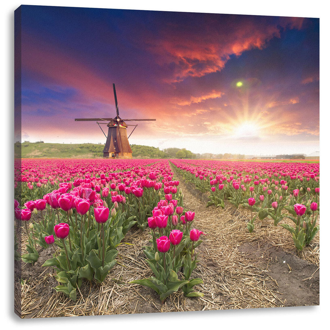 Leinwandbild Tulpenfeld mit Mühle bei Sonnenuntergang