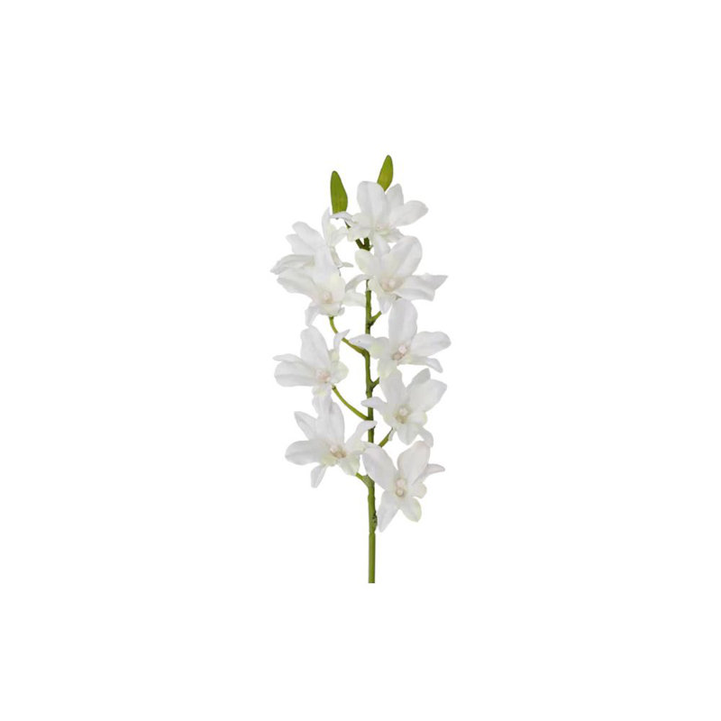 Orchidée Dendrobium 24 po - 3 tiges, 9 fleurs et 2 bourgeons