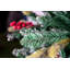 Lighted Artificial Christmas Tree-561814282