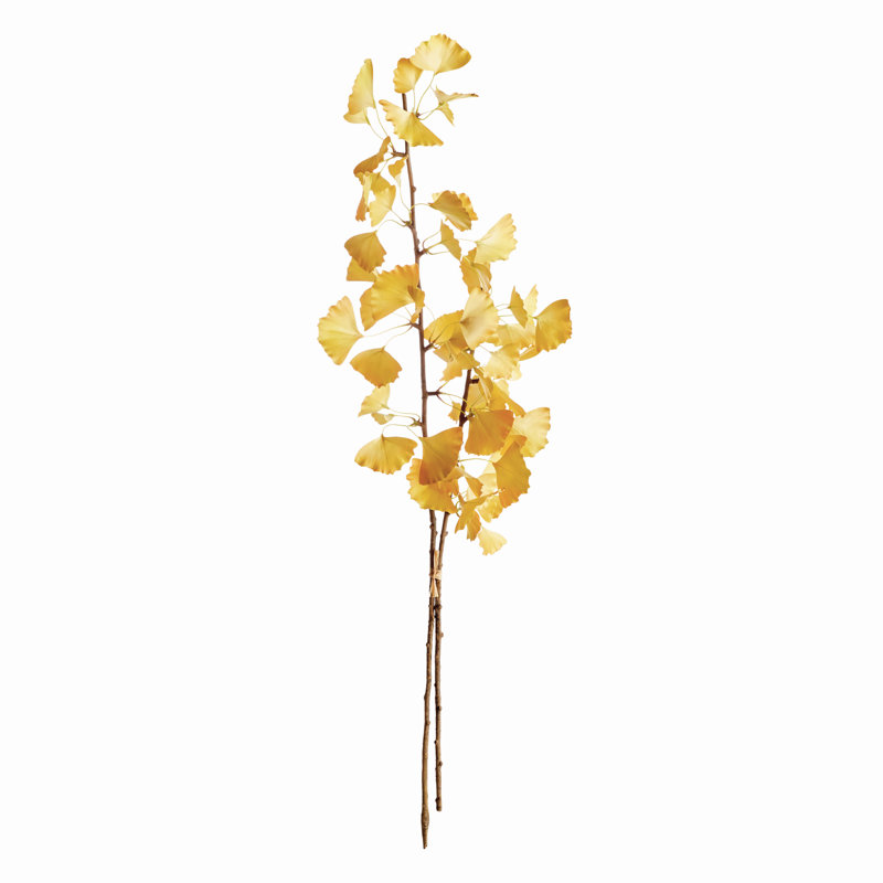 GINKGO BRANCH 40 pouces, ENSEMBLE DE 2
