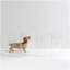 Low Pet Gate Zig Zag, 8 Panel-1089533378