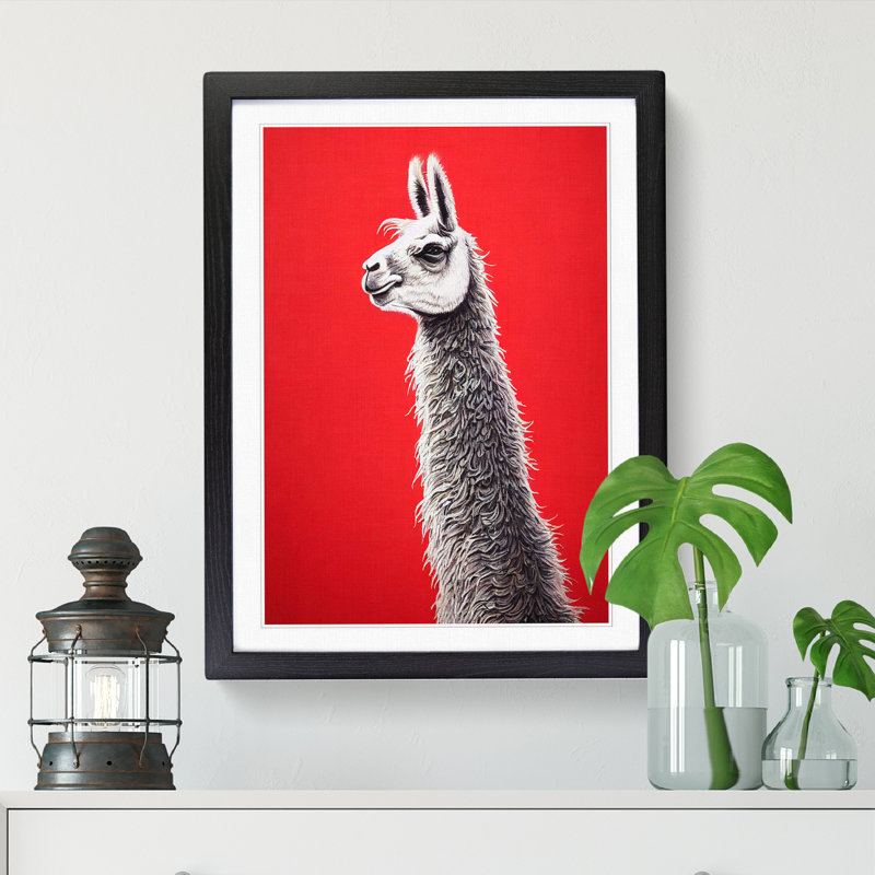 Llama Portrait Vol.2 - Single Picture Frame Print, Black, 46cm H x 34cm W x 2cm D