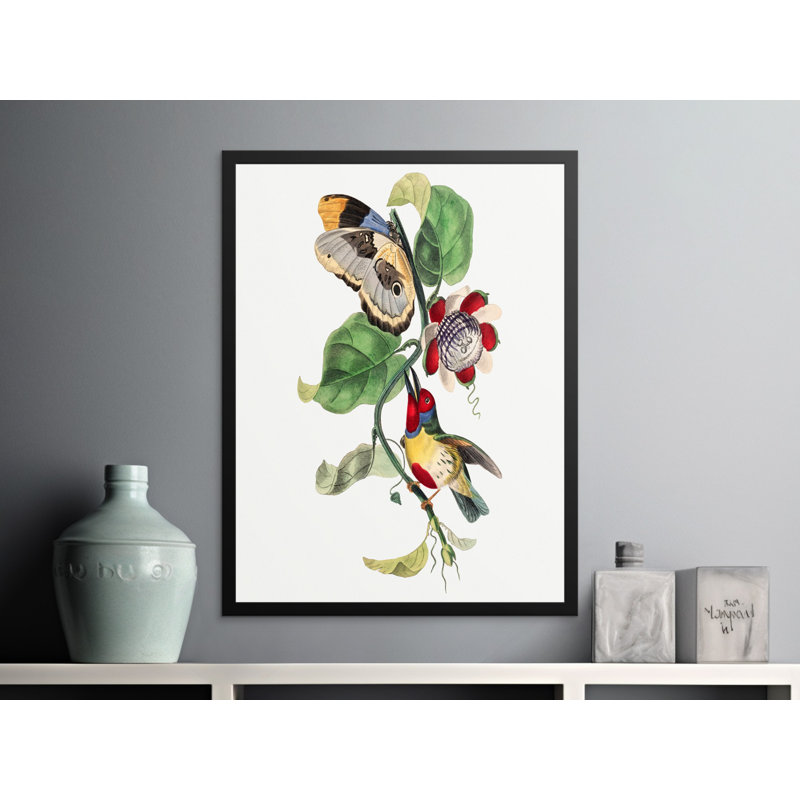 Charae Single Picture Frame Print, 35.56cm H x 27.94cm W