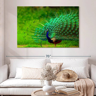 Plumage bleu paon bleu brillant