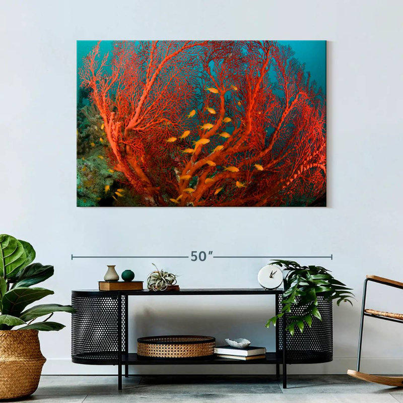 Fire Coral, 32" H x 48" W