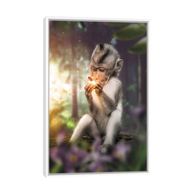 The Monkey & Butterfly by Zenja Gammer - Print on Canvas