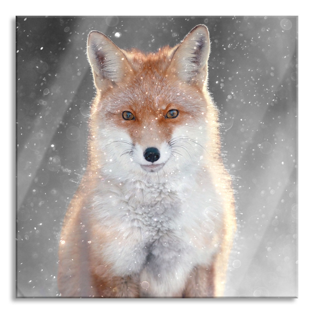 Glasbild Roter Fuchs im Winter