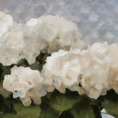Fleurs du dimanche II