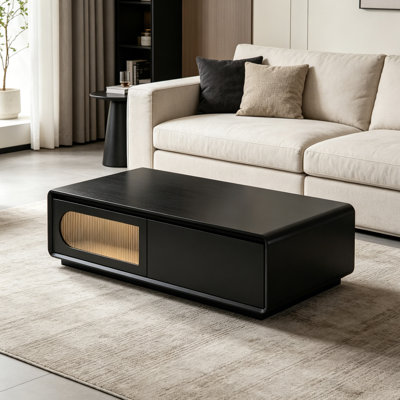 Luxury Modern Storage Coffee Table