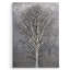 «Silver Tree III» par Mike Calascibetta - impression sur toile-402048003