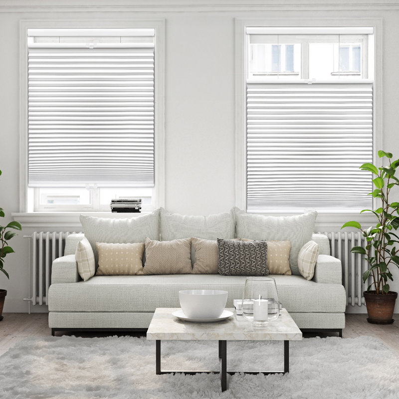 Sheba 1.5 inch Cordless Blackout Top Down bottom Up Cellular Shade, 38" W x 64" L, White