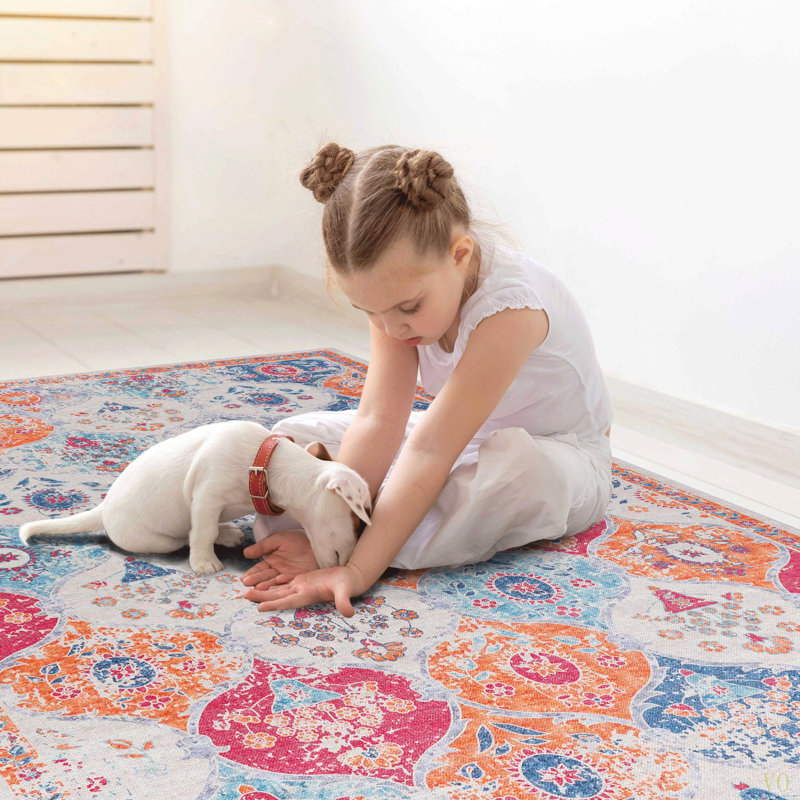 2X3  Area Rug, Washable Area Rugs, Low-Pile, Non-Slip, Non-Shedding, Foldable, Kid&Pet Friendly, Area Rugs For Living Room, Bedroom, Kitchen, Dining Room Rug, Perfect Gifts, (2' X 3')