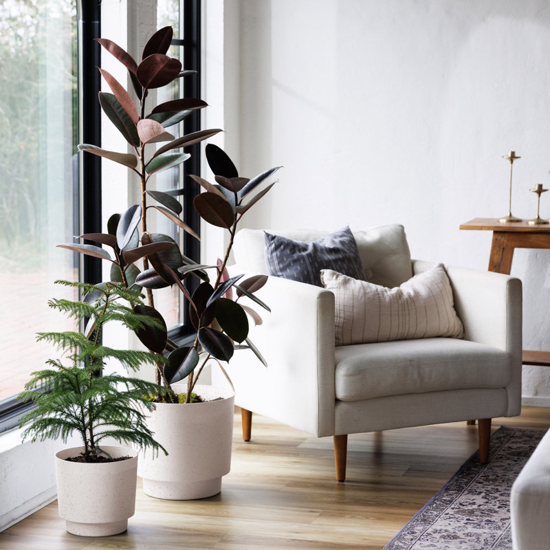 Pot de fleurs intérieur / extérieur Harlow, H 10,25 po x l 10,75 po x P 10,75 po, Ivoire ivoire