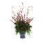 Evergreen Arrangement in Vase