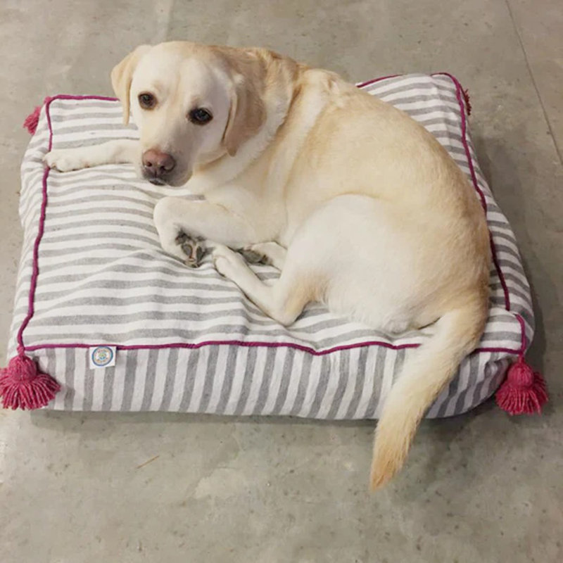 Striped Cotton Pet Bed, Gray/White/Fuchsia
