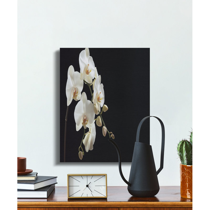 Wrapped Canvas Print Set, 15x30