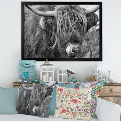 «Scottish Cow on Moorland II» - photographie sur toile