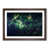 Walnut Framed selected