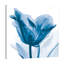 «Lust Blue Tulip_H30», impression sur toile tendue-23605144