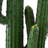 28 " H Faux Cactus Plant in Plastic and Fiberstone Pot