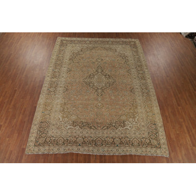 Traditional Area Rug 10x13