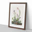 Field Sparrow by John Audubon - Picture Frame Graphic Art Print-55609279-55609278