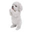 Chiot caniche jouant