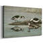 Vintage Animal XIX - impression-171266216-171266263