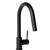 Arthur Single Handle Kitchen Faucet with Side Spray and Accessories
