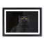 British Shorthair Cat in the Shadows - Picture Frame Painting Print-55512829-55512830